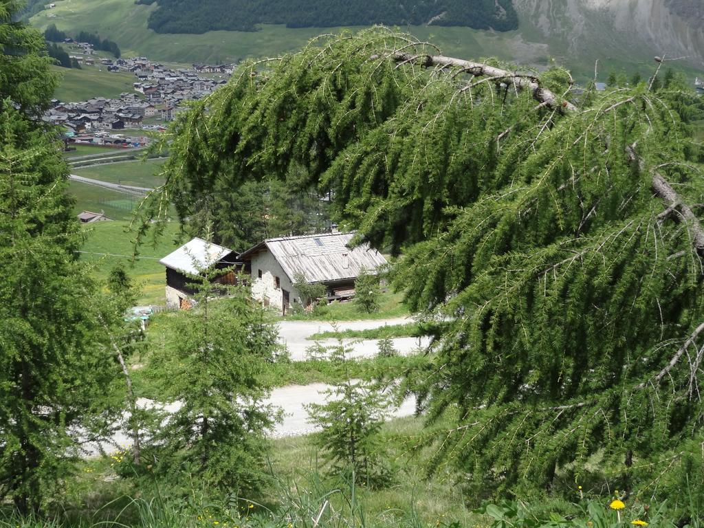 Hotel Marzia Livigno Exterior foto
